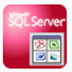 SqlLobEditor V3.1 英文安装版