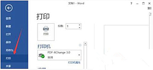 Win10 20H2系统使用Word文档打印不出图片怎么回事？