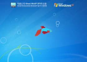 电脑公司Windows XP SP3 极速稳定版 V2021.08