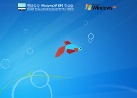 电脑公司Windows XP SP3极速专业版 V2021.06