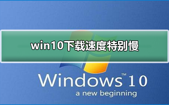 win10下载速度特别慢？win10下载速度慢解决教程