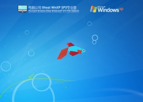 电脑公司WinXP SP3 特别专业版 V2022.04