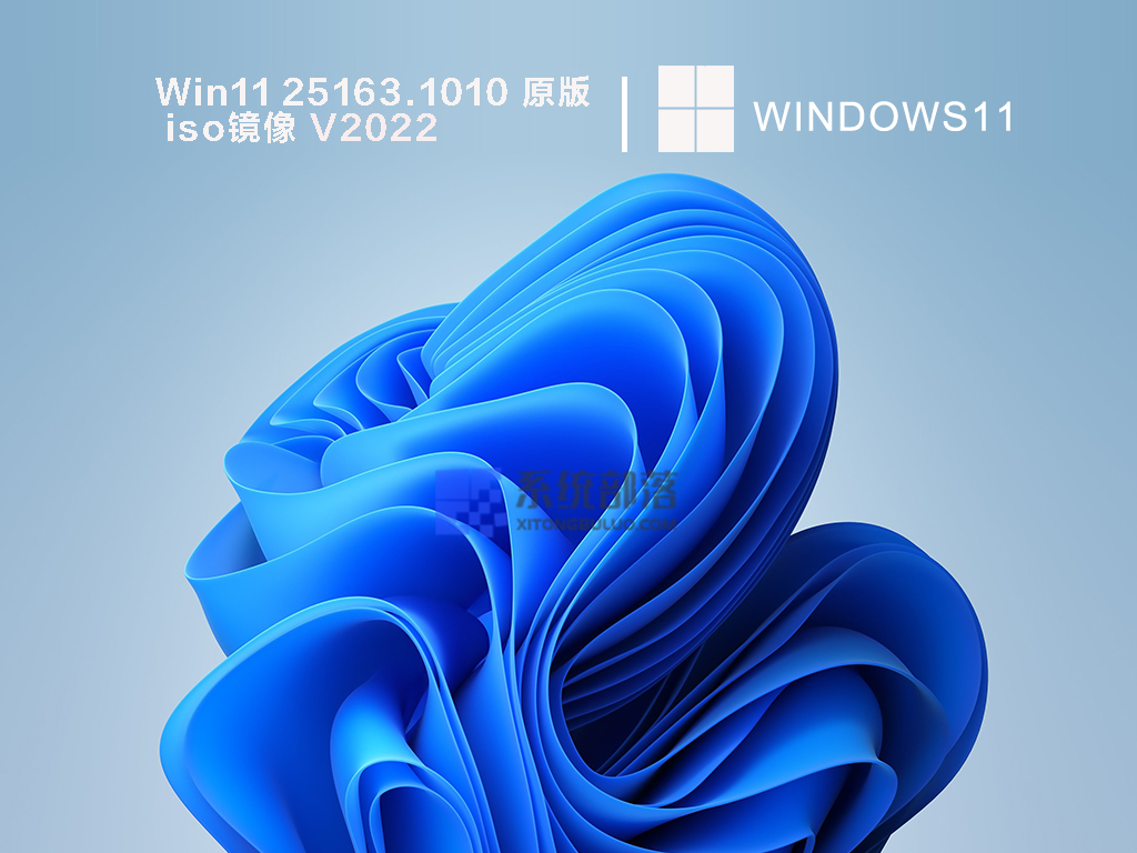 Win11 25163.1010 原版iso镜像 V2022