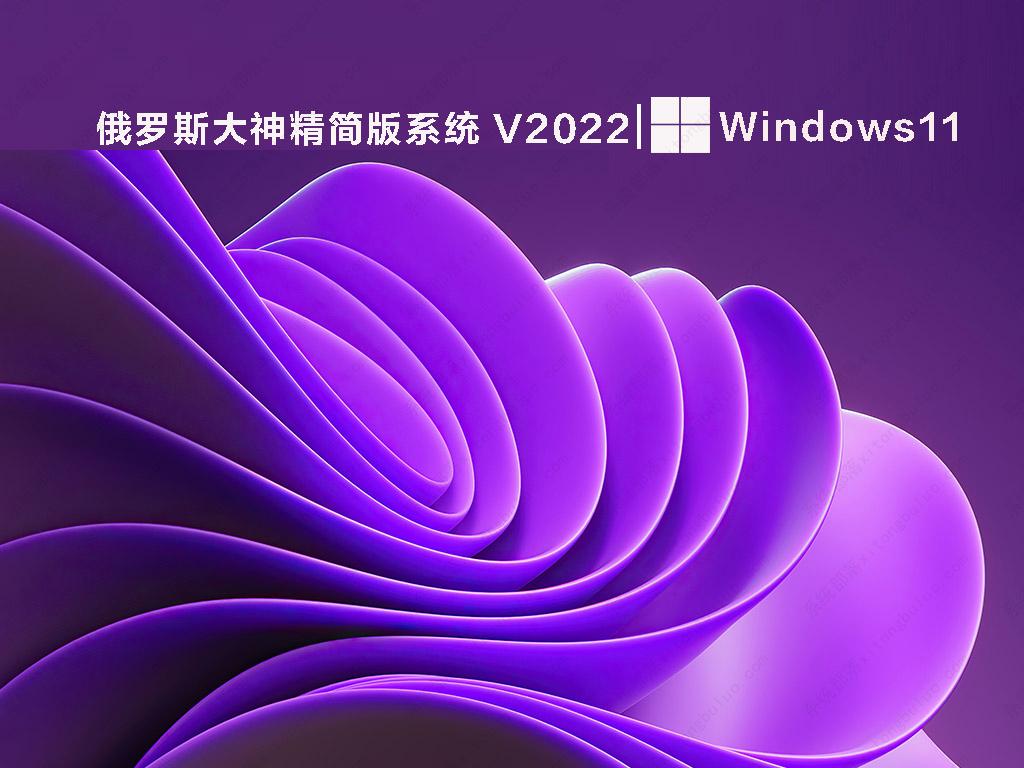 俄罗斯大神精简版系统 V2022