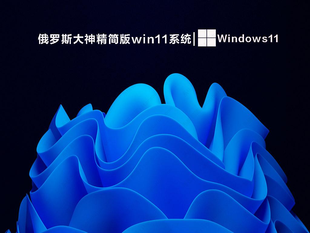 俄罗斯大神精简版win11系统  V2022