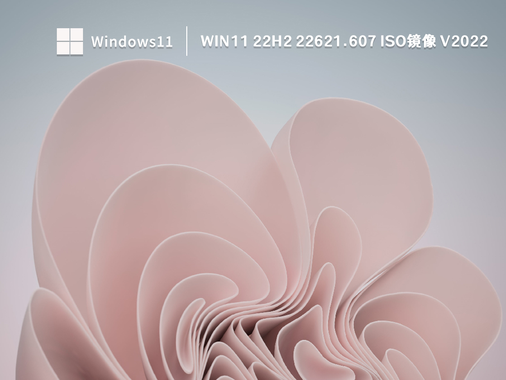 Win11 22H2 22621.607 ISO镜像 V2022