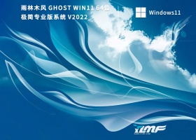 雨林木风 Ghost Win11 64位极简专业版 V2022