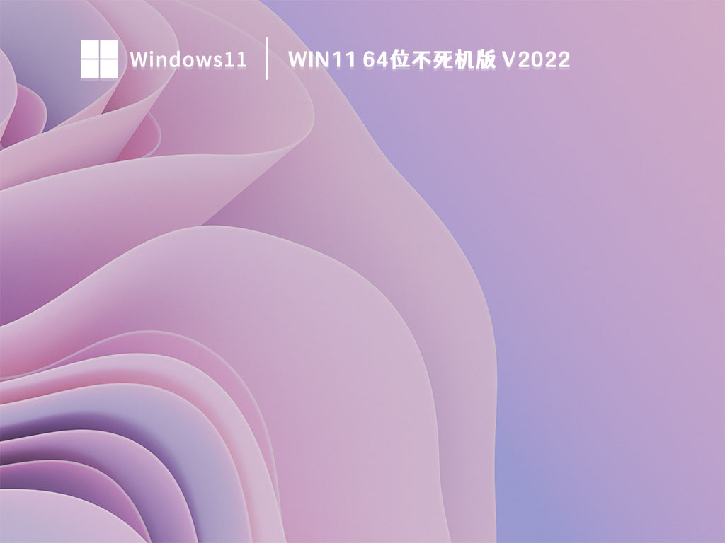 Win11 64位不死机版 V2022