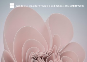 Windows 11 Insider Preview Build 22623.1255iso镜像 V2023