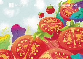 番茄花园Win11 64位专业版iso镜像 V2023