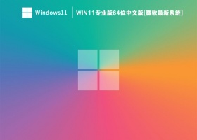 Win11专业版64位中文版[微软最新系统] V2023
