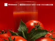 番茄花园 Ghost Win11 64位 V2023全新正式版