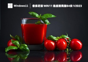 番茄花园 Win11 极度精简版64位 V2023