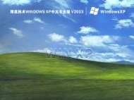 深度技术windows xp中文专业版 V2023