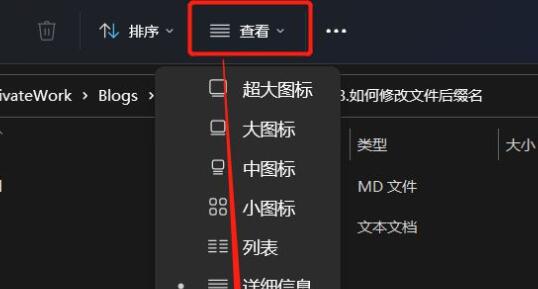 Win11怎么更改文件后缀名