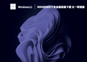 Windows11专业版原版下载 五一特别版