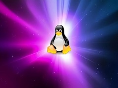 linux操作系统与windows差别（linux系统和windows服务器对比）