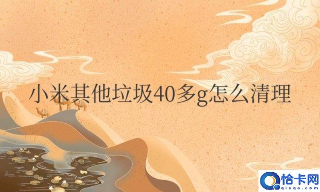 小米其他垃圾40多g怎么清理