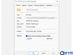 什么是Windows11中的文件压缩以及如何启用它？